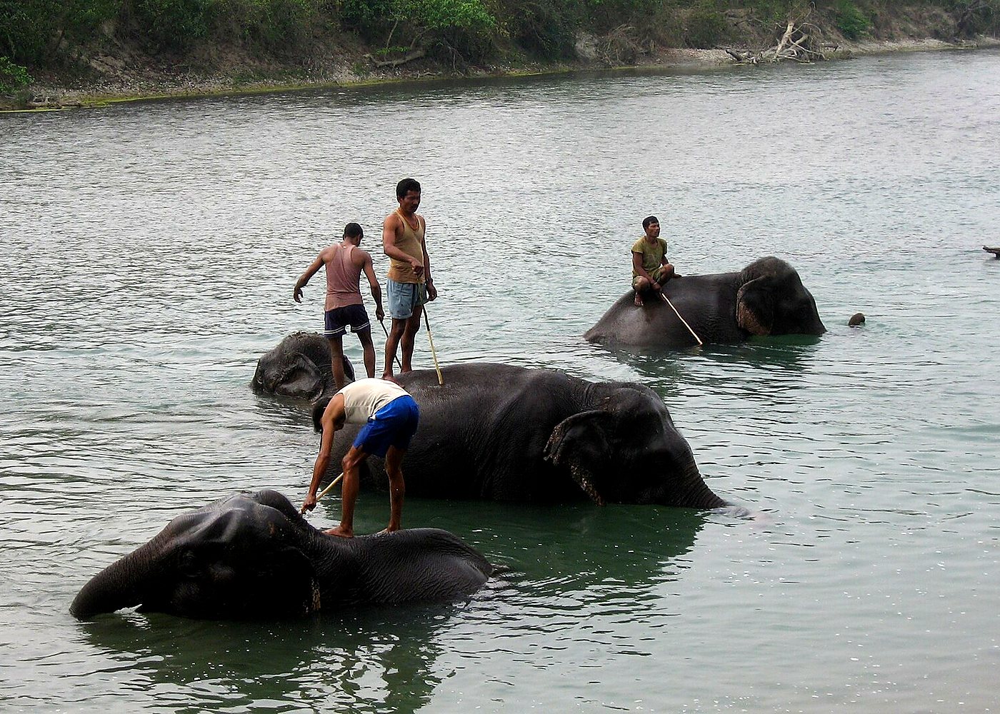Ethical Elephant Village Experience in Jaipur — photo 2