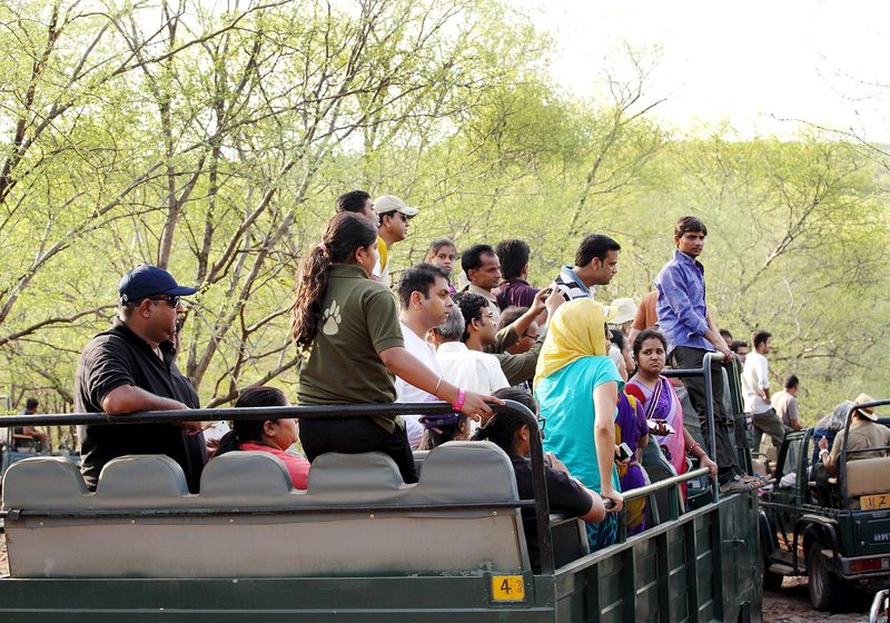 Private 4-Day Golden Triangle & Ranthambore Tour